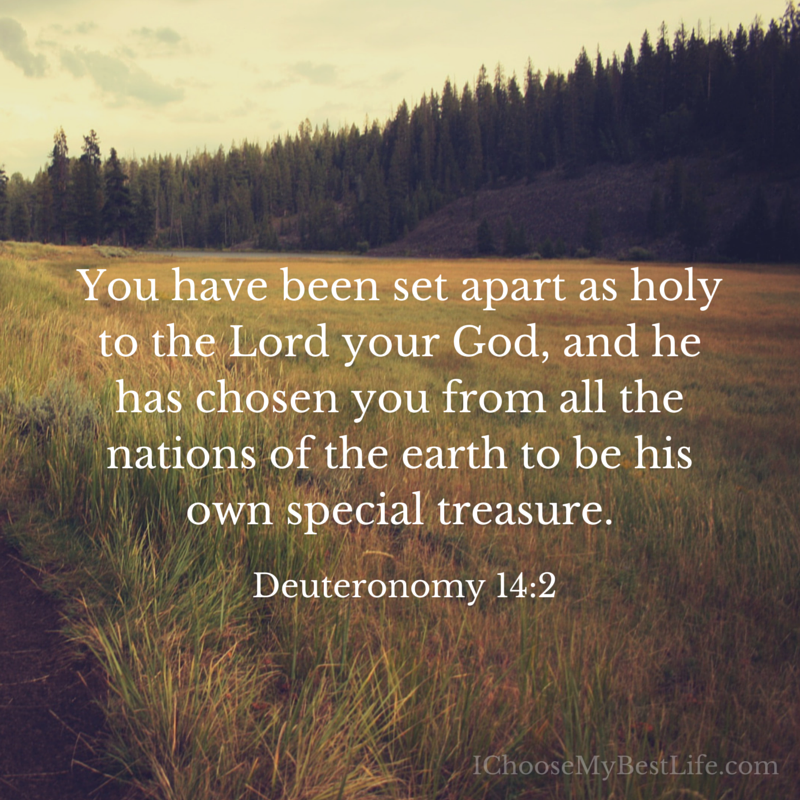 You have been set apart as holy to the Lord.